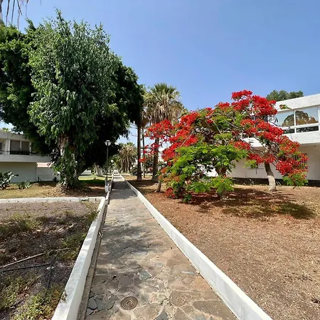 Amazing Terrace At 300 Meters From Beach, With Pool And Wifi Lejlighed Costa del Silencio